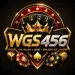 WGS456 Game