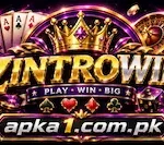 ZINTROWIN Game
