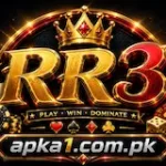 RR3 Game