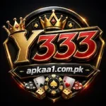 Y333 Game