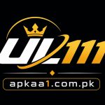 UL111 Game