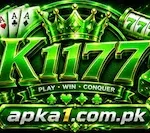 K1177 Game