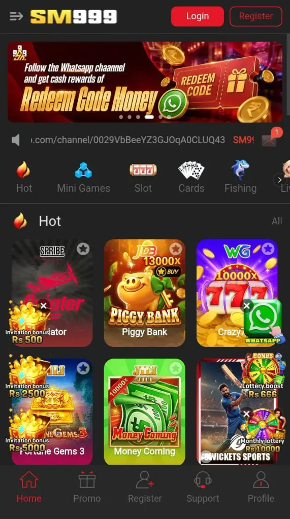 SM999 Game Interface