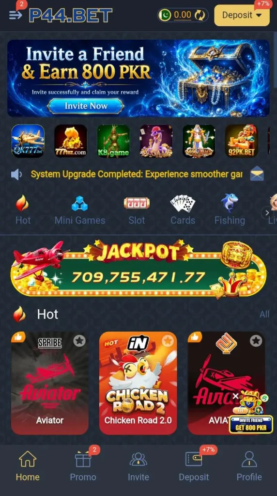 P44 Game Interface